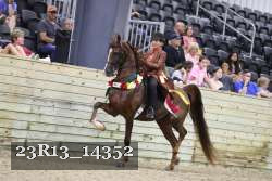 23R13_14352 proof