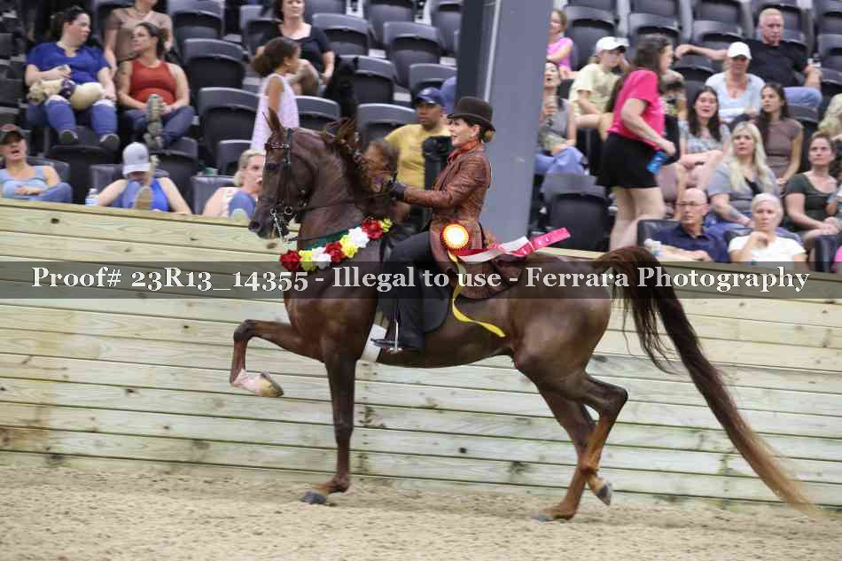 Proof 23R13_14355