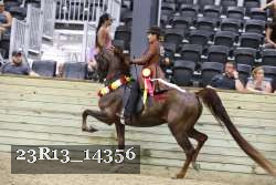 23R13_14356 proof