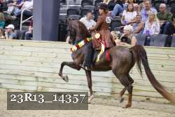 23R13_14357 proof