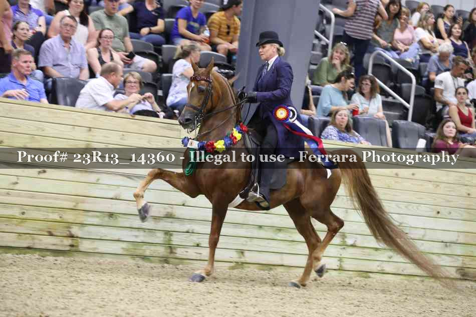 Proof 23R13_14360