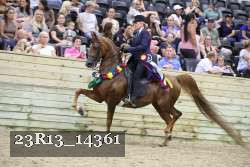 23R13_14361 proof
