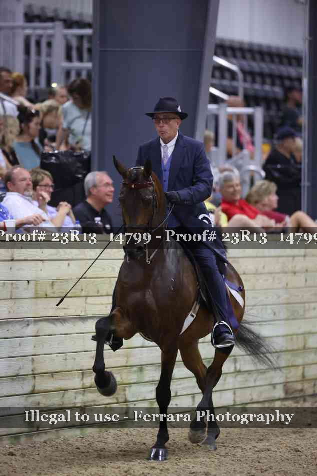 Proof 23R13_14799