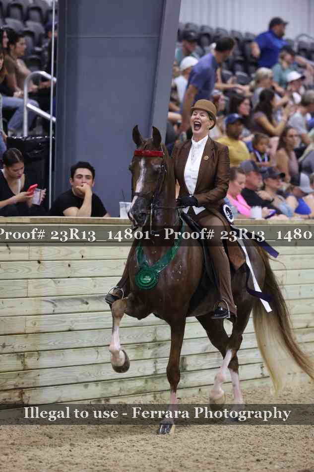 Proof 23R13_14801