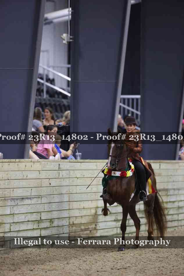 Proof 23R13_14802