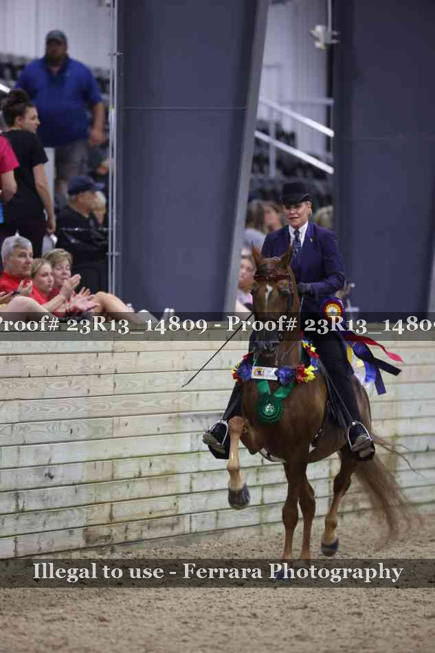 Proof 23R13_14809