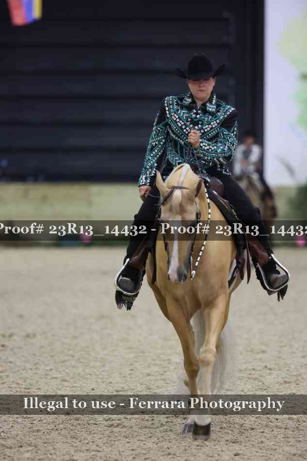 Proof 23R13_14432