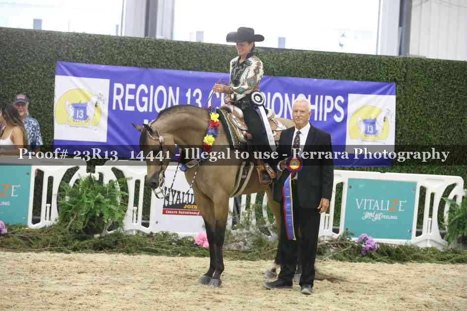 Proof 23R13_14441
