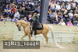 23R13_14446 proof