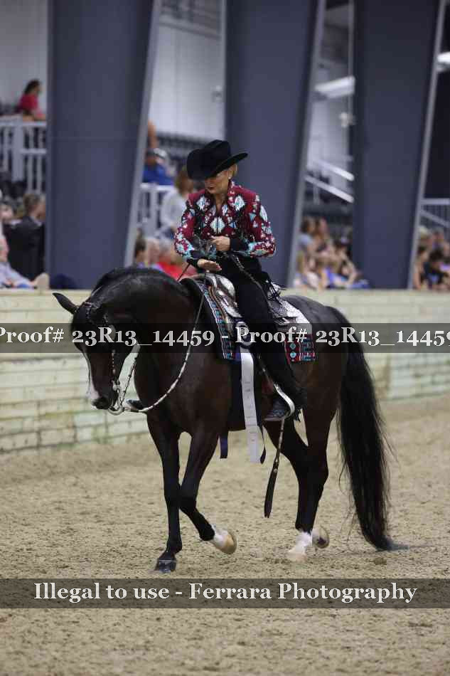 Proof 23R13_14459