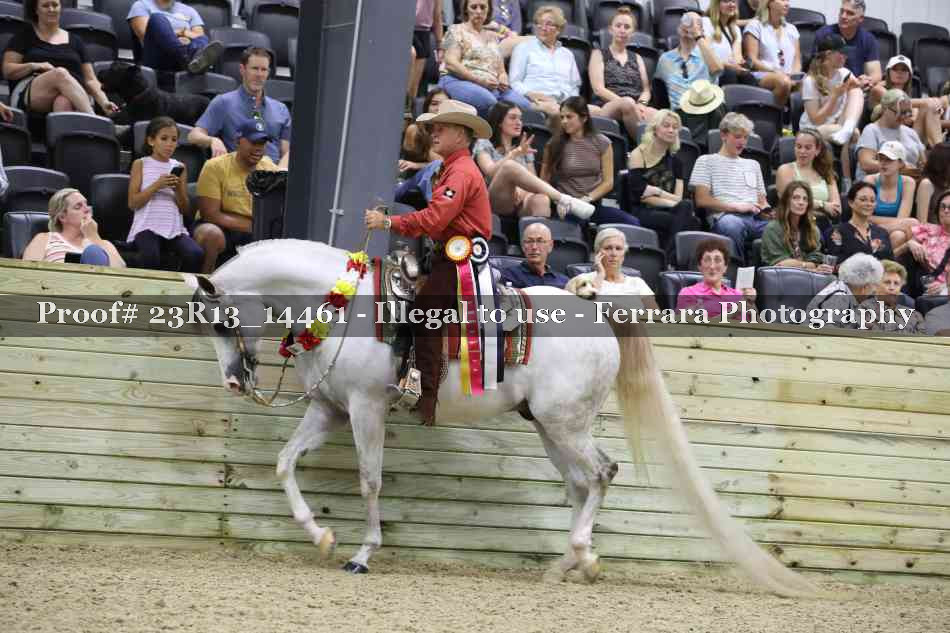 Proof 23R13_14461