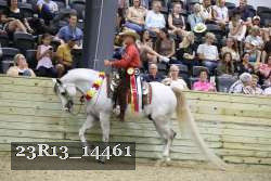 23R13_14461 proof