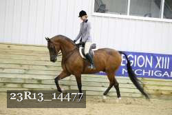 23R13_14477 proof