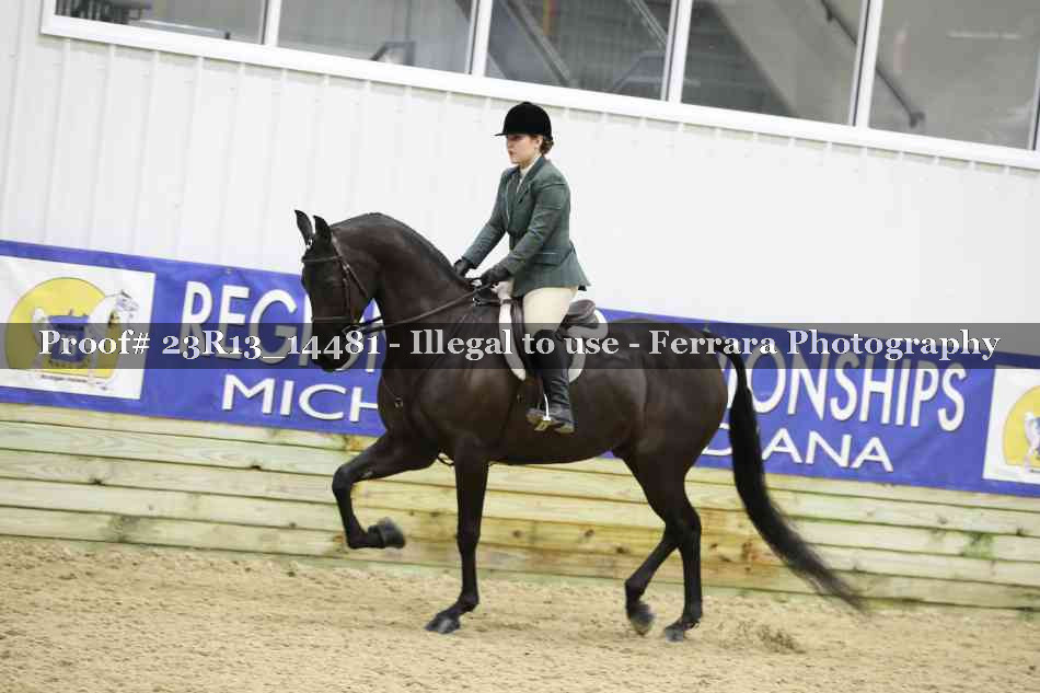 Proof 23R13_14481