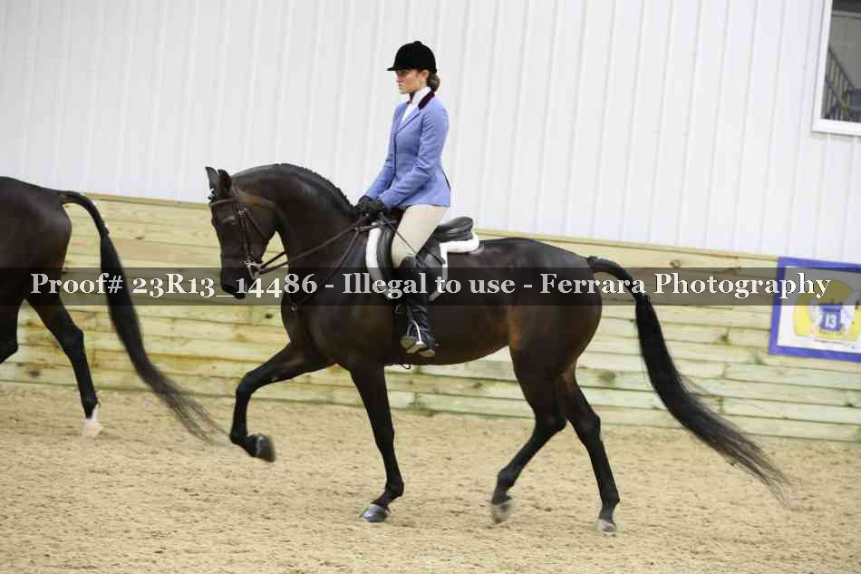 Proof 23R13_14486