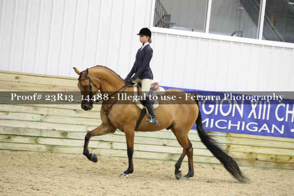 Proof 23R13_14488