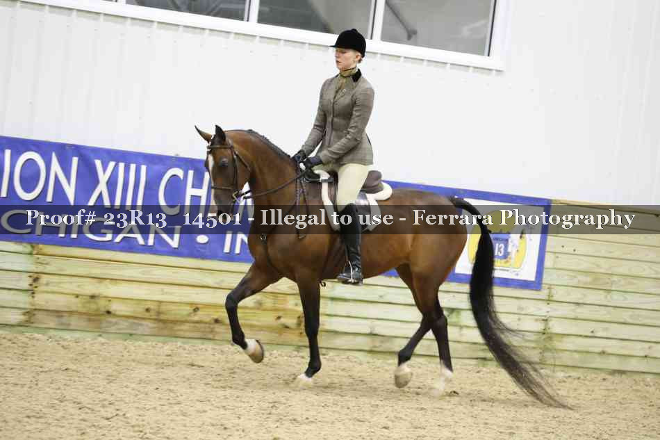 Proof 23R13_14501