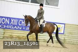 23R13_14501 proof