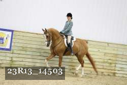 23R13_14503 proof