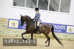 23R13_14515 proof