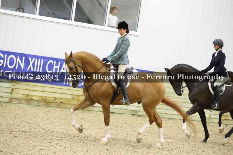 Proof 23R13_14520