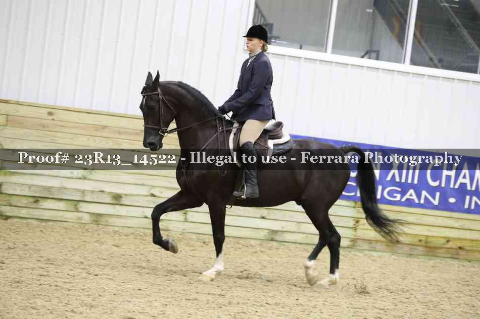 Proof 23R13_14522
