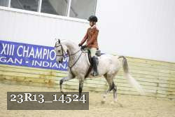 23R13_14524 proof