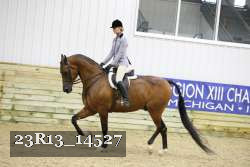 23R13_14527 proof