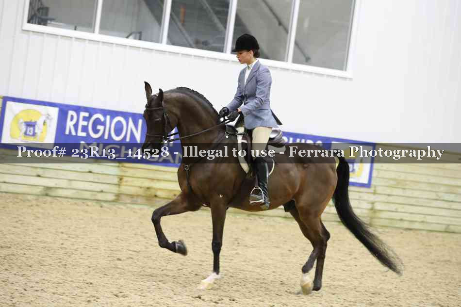 Proof 23R13_14528
