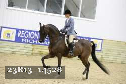23R13_14528 proof