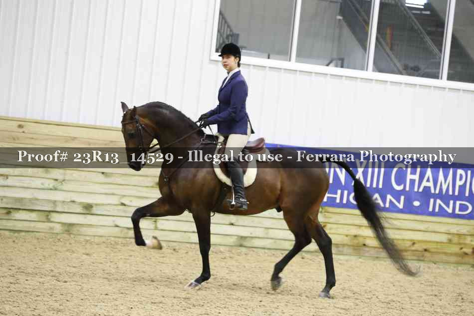 Proof 23R13_14529