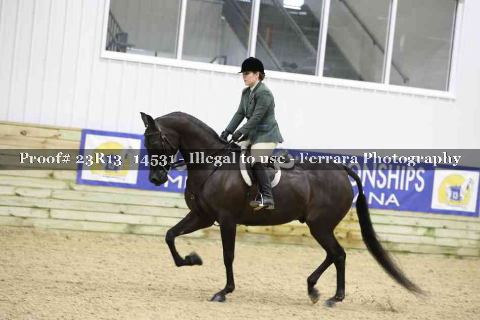 Proof 23R13_14531