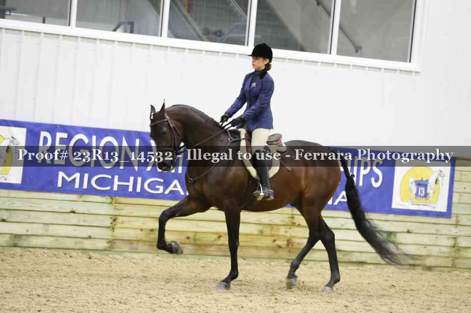 Proof 23R13_14532