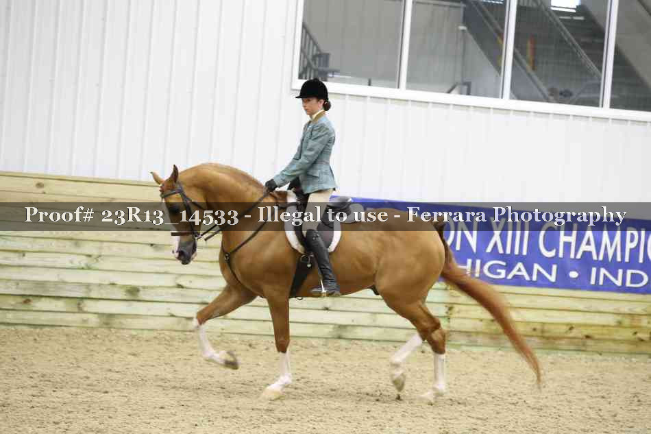Proof 23R13_14533