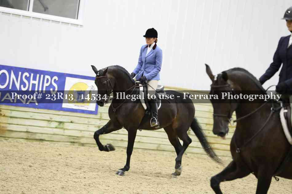 Proof 23R13_14534