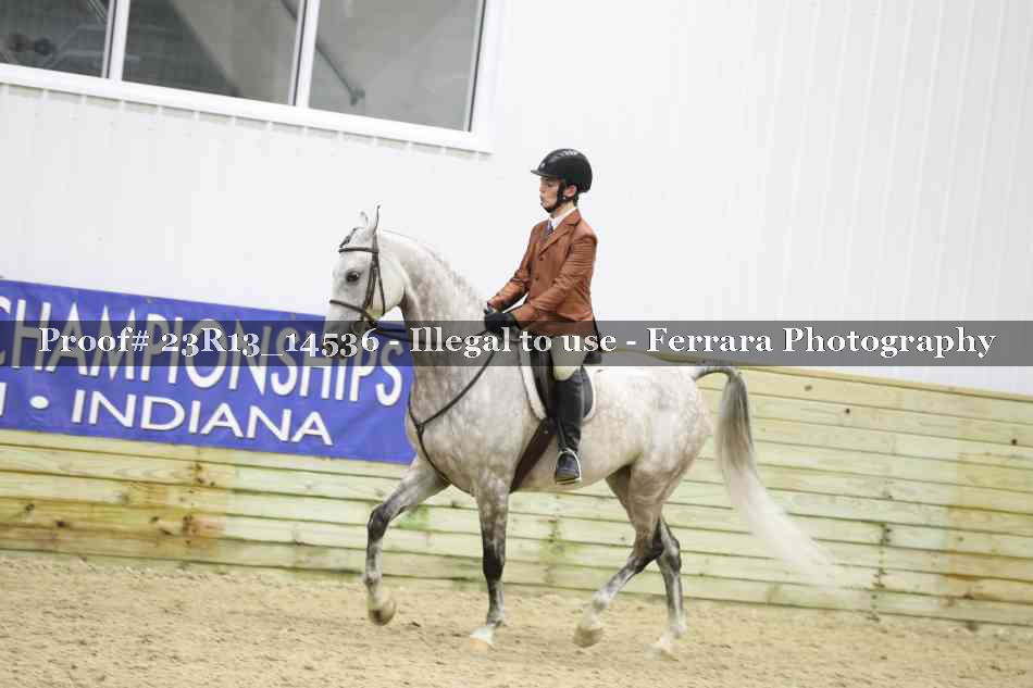 Proof 23R13_14536