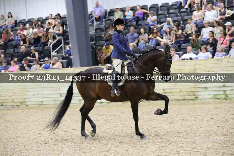 Proof 23R13_14537