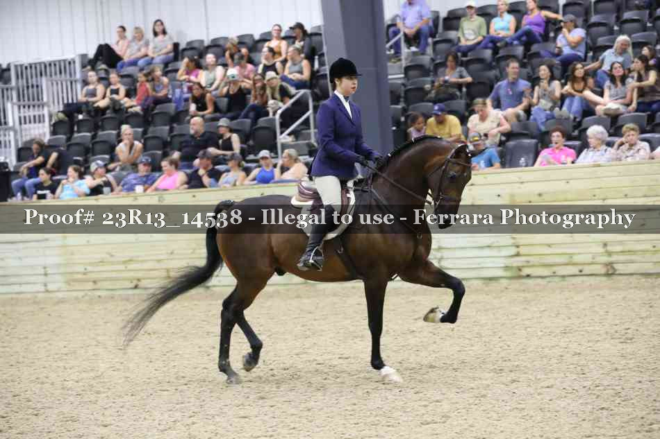 Proof 23R13_14538