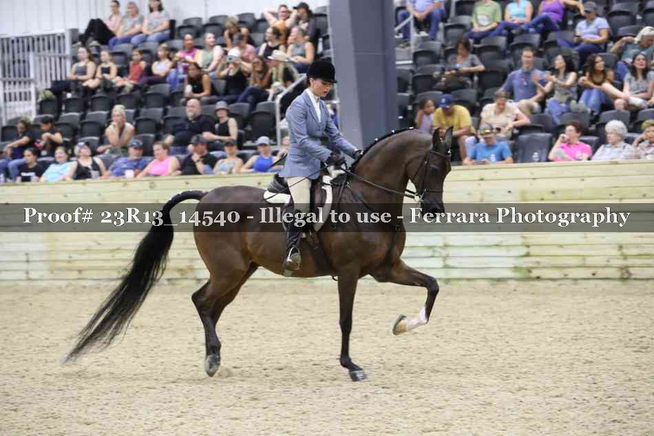 Proof 23R13_14540