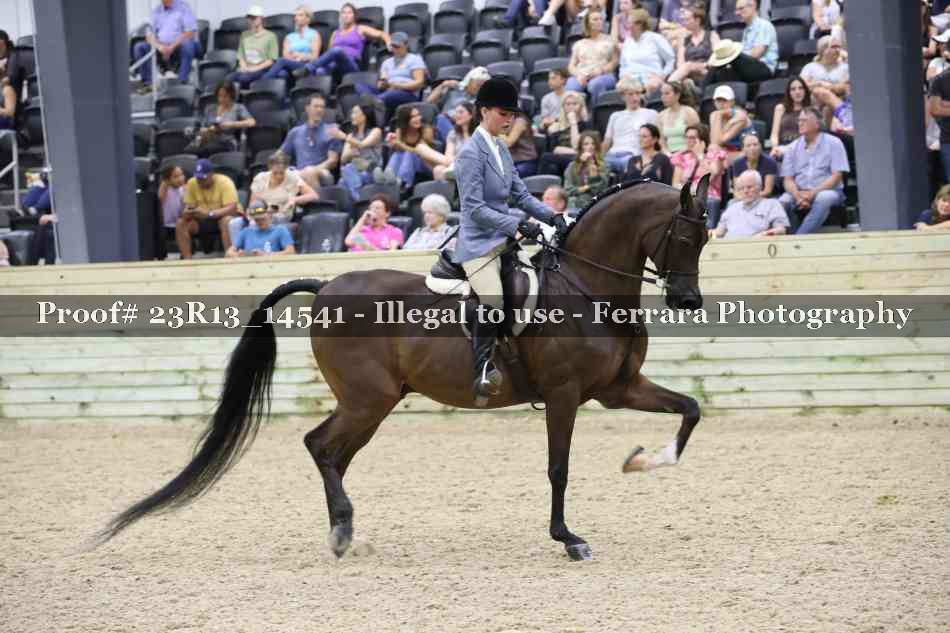 Proof 23R13_14541
