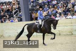 23R13_14542 proof