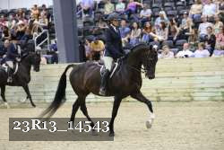 23R13_14543 proof