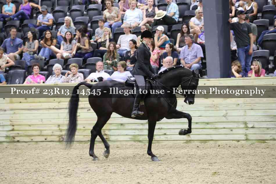 Proof 23R13_14545