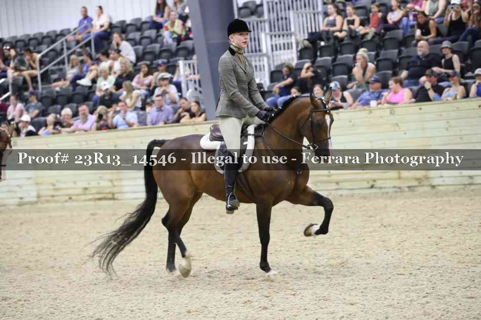 Proof 23R13_14546