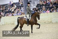 23R13_14546 proof