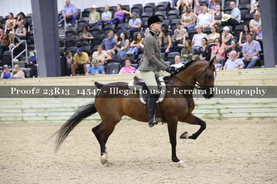 Proof 23R13_14547