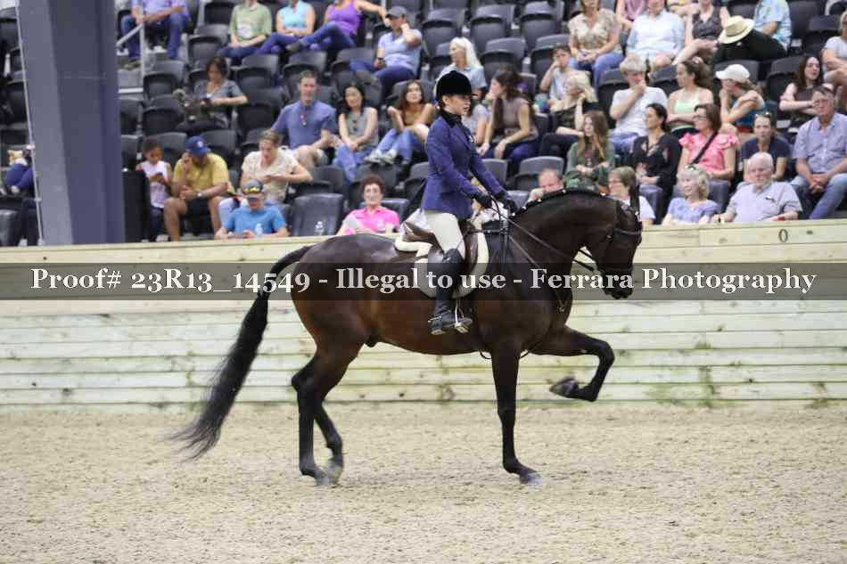 Proof 23R13_14549