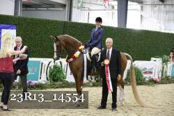23R13_14554 proof