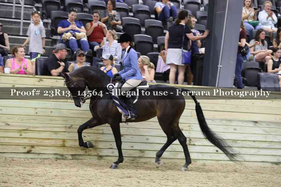Proof 23R13_14564
