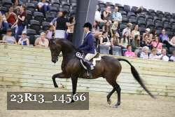 23R13_14566 proof